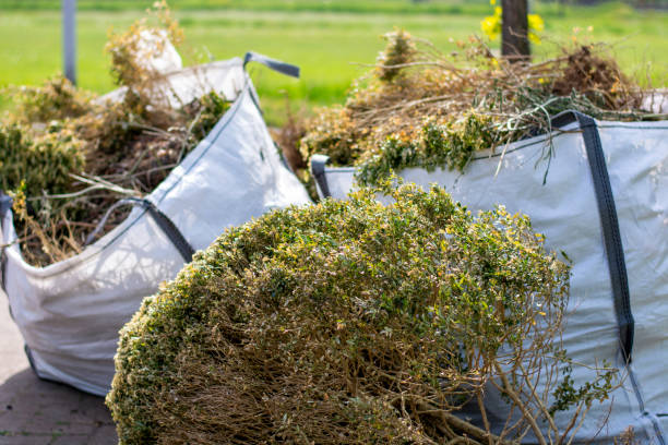 Best Construction Debris Removal  in Wolf Lake, MI